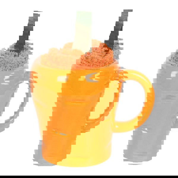 Serano Carrot Shaped Mug and Socks Set