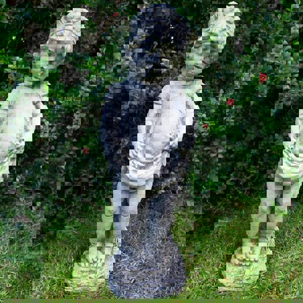 Shy Little Girl Garden Ornament