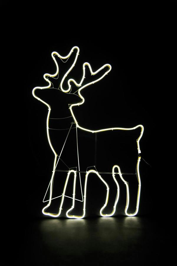 Reindeer Neon Effect Rope Light Silhouette with 90 Cool White LEDs, Indoor and Outdoor Size Options image 1