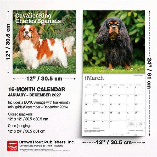 Cavalier King Charles Spaniels Calendar 2027, Wall Calendars, Month To View, Dogs, Gift