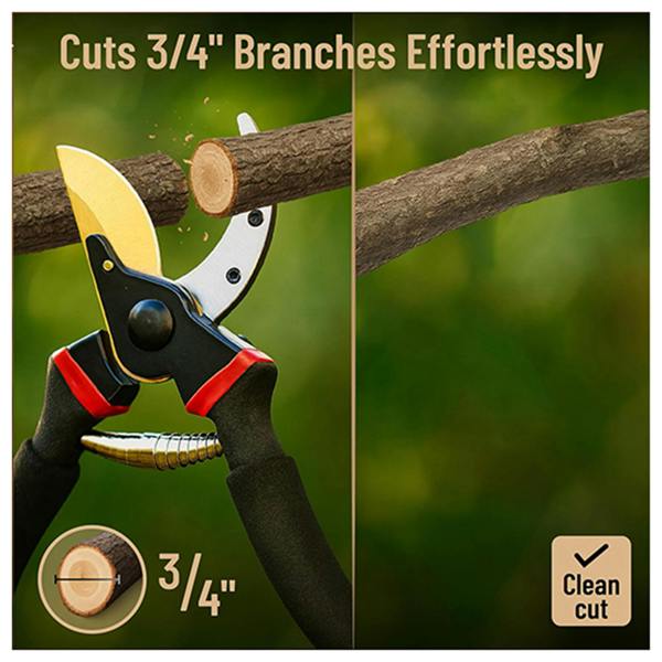 Dragodirect 8-Inch Pruning Shears Garden Shears Scissors Tools Garden