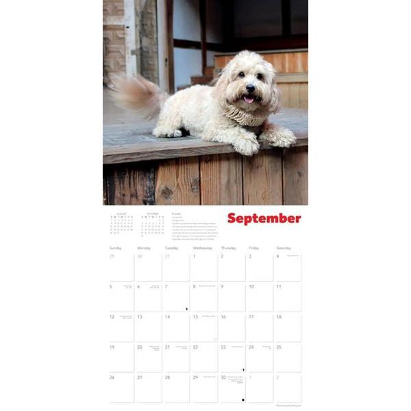 Shakespeare's Globe, Dogs in Ruffs Calendar 2027, Wall Calendars, Month To View, Dogs, Gift
