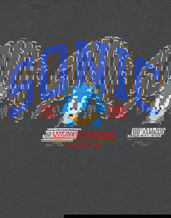 Sonic the Hedgehog Mens Grey World's Fastest Sweatshirt