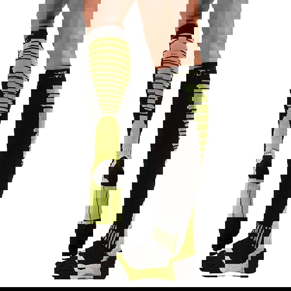 t4option1_1