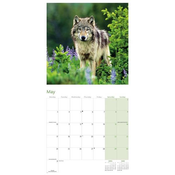 Wolves Calendar 2027, Wall Calendars, Month To View, Animals, Gift