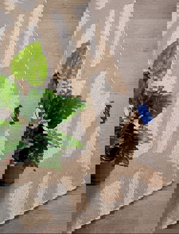 The Rugs Geometric Design Short Pile Rug - Modern Comfort