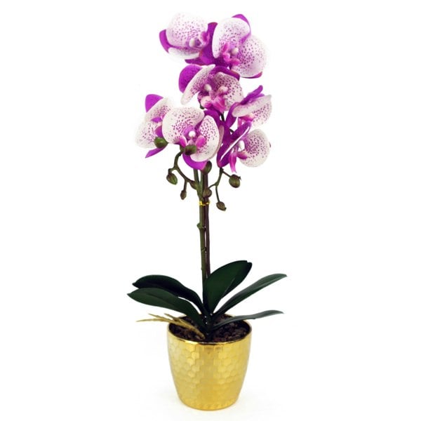 Leaf 50cm Phalaenopsis Orchid Artificial - Purple / White - Gold Pot