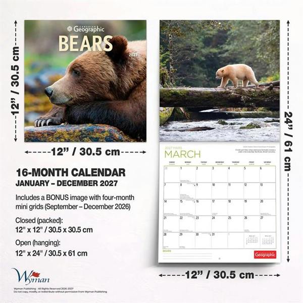Bears Calendar 2027, Wall Calendars, Month To View, Animals, Gift