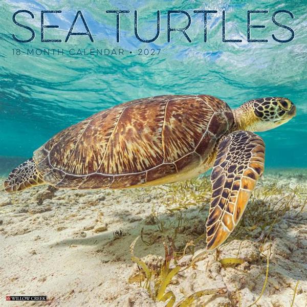 Sea Turtles Calendar 2027, Wall Calendars, Month To View, Animals, Gift