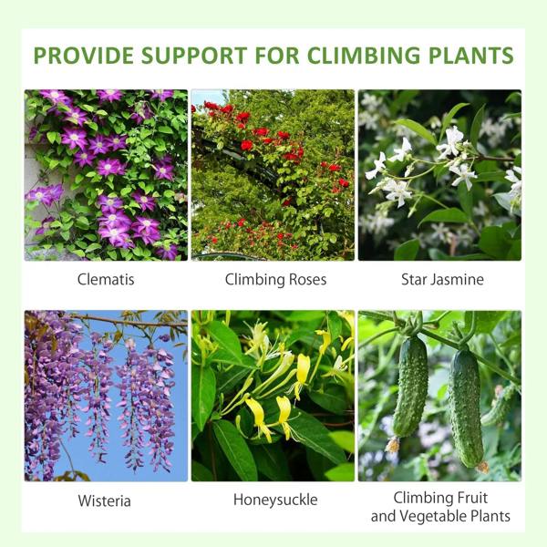 Climbing plant trellis support infographic with flower photos for plant varieties