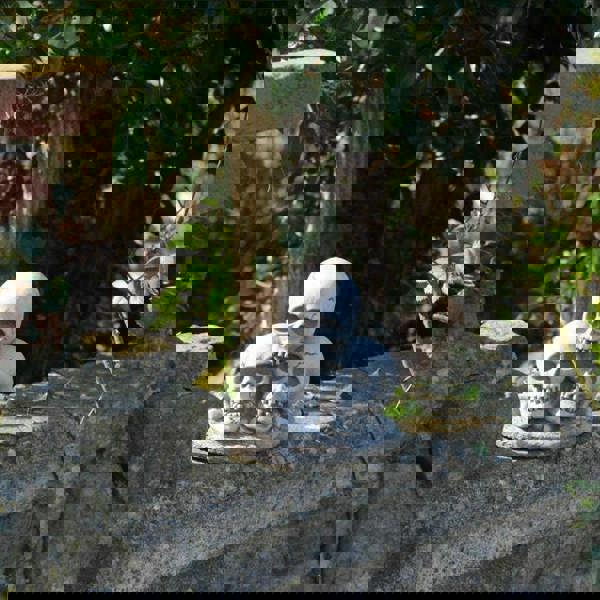 Three Skull Stone cast Garden Ornament