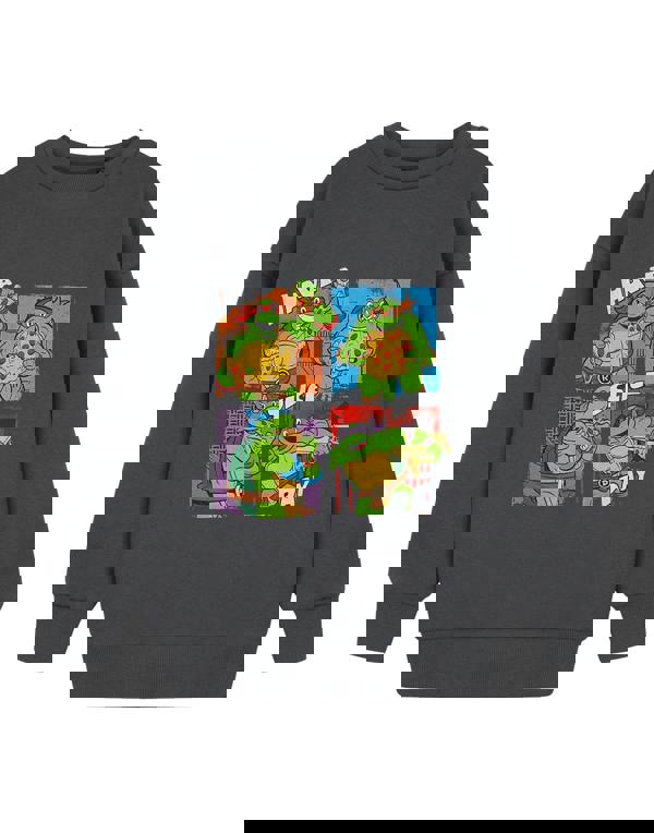 Teenage Mutant Ninja Turtles Boys Grey Have A Slice Day Sweatshirt