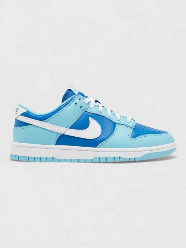 Nike Dunk Low Retro QS Argon 2022