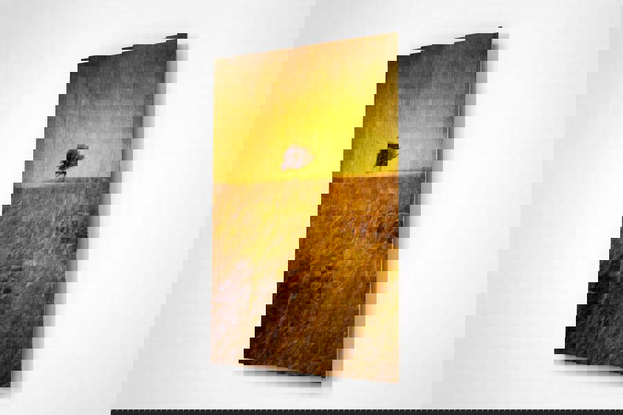 rustic landscape acrylic wall print