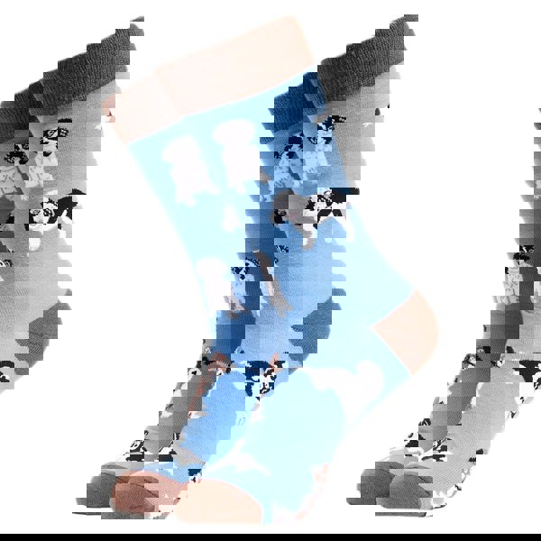t4option1_1