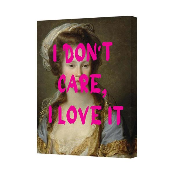 Benjamin Tate Design Canvas Wall Art I Dont Care I Love It Pink Quote Portrait Artwork