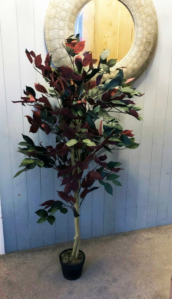 Leaf 120cm (4ft) Artificial Dark Red Green Ficus Plant - Extra Large