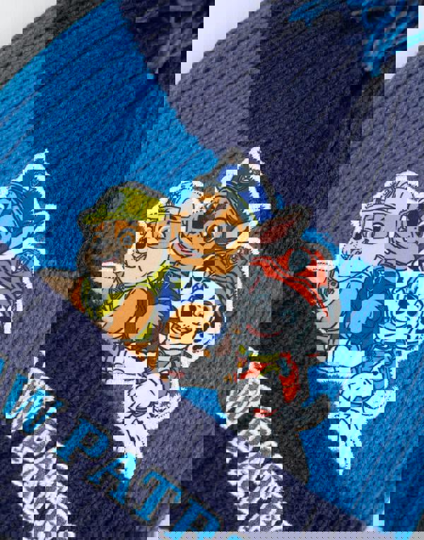 Paw Patrol Boys Blue Team Pose Beanie and Gloves Set (One Size)