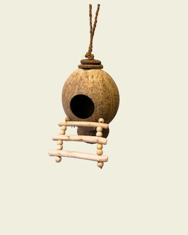 CoirProducts Shell Bird Nest