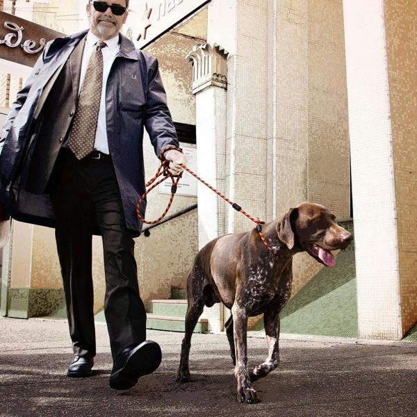 EzyDog Luca Slip Lead in Purple