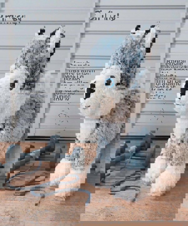 Infographic image of Mishka Dog Pull Along Toy showing removeable wheels