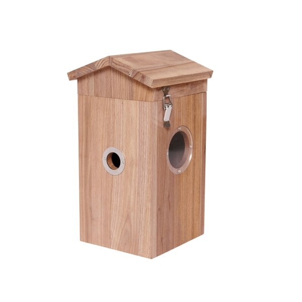 Callow Retail Walnut smart bird house and Camera with Solar Panel