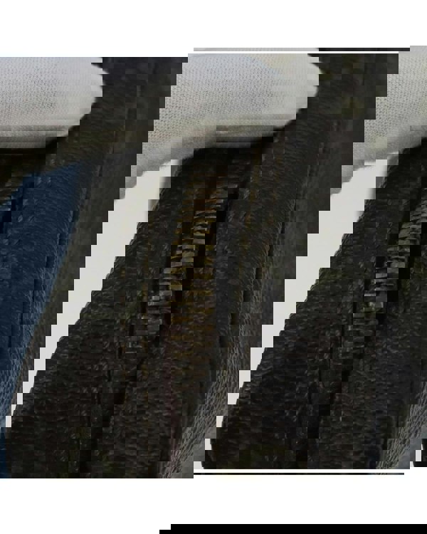 208421903.jpg