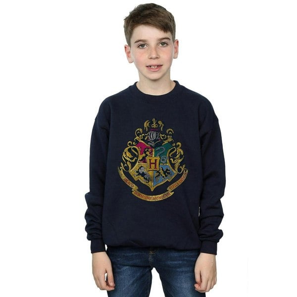 Harry Potter Boys Hogwarts Houses Cotton Sweatshirt - Navy Blue