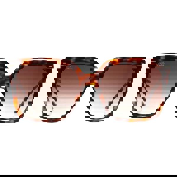 Calvin Klein Sunglasses CK22534S 220 Brown Havana Brown Gradient