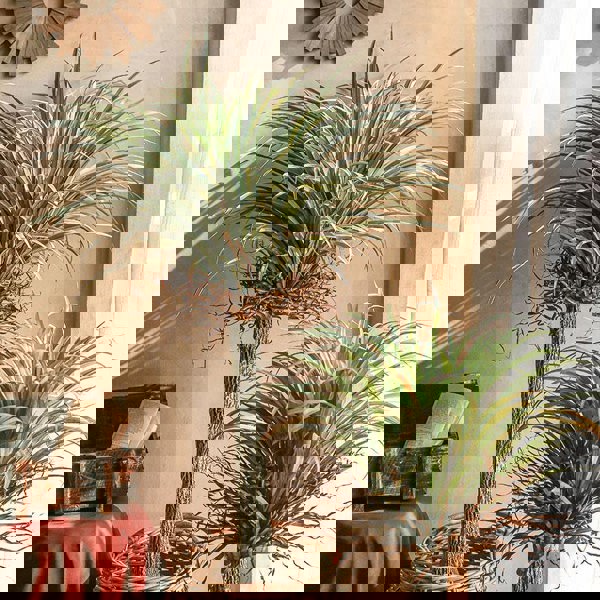 RG93 Artificial Plant-Weilai Concept-Weilai Concept