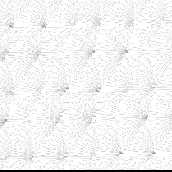 Fan grey / white