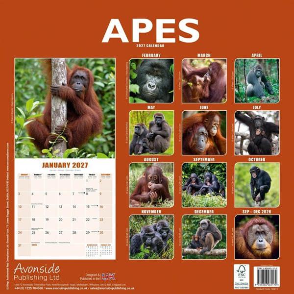 Apes Calendar 2027, Wall Calendars, Month To View, Animals, Gift