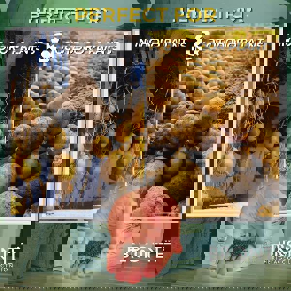 Bronte Heritage Potato Fertiliser 1kg – Organic, slow-release formula for stronger roots & larger tubers. Full-season feed with guide