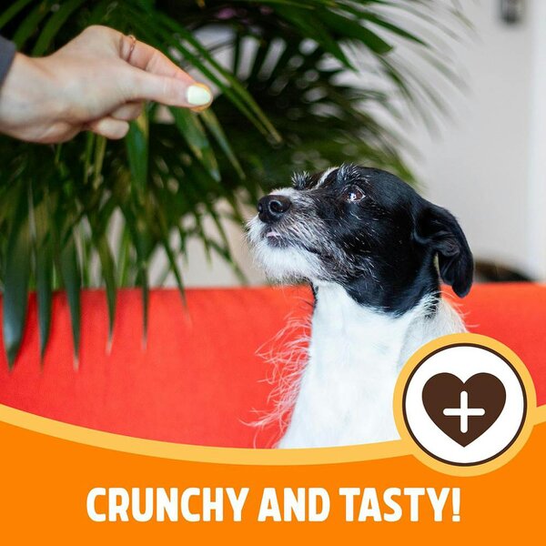 Rosewood Chicken Crunchy Meatballs Dog Treats Gluten Free 140g
