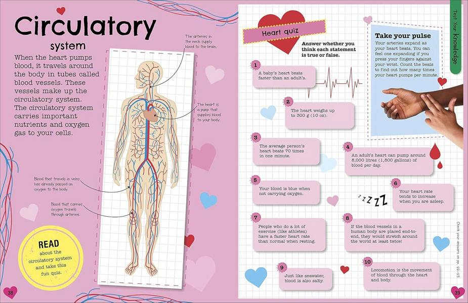 The Fact-Packed Activity Book: Human Body by DK