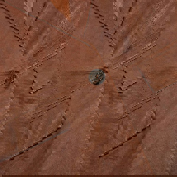 222_jacket_Timber_3XL, 222_jacket_Timber_4XL, 222_jacket_Timber_5XL, 222_jacket_Timber_L, 222_jacket_Timber_M, 222_jacket_Timber_S, 222_jacket_Timber_XL, 222_jacket_Timber_XS, 222_jacket_Timber_XXL