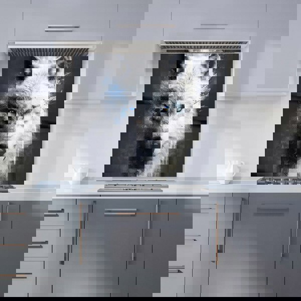 Warren Reed - Designer White Wolf Face Splashart Dark Backgrouns Kitchen Splashback