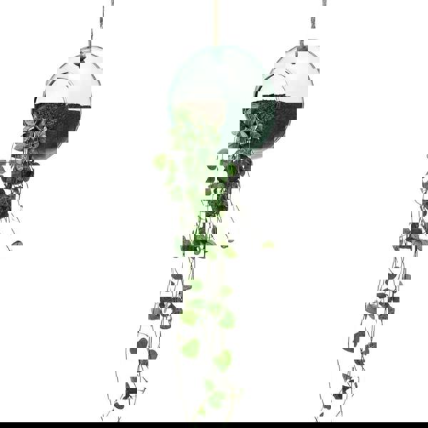 LSA Canopy Recycled 12cm Hanging Planter Clear