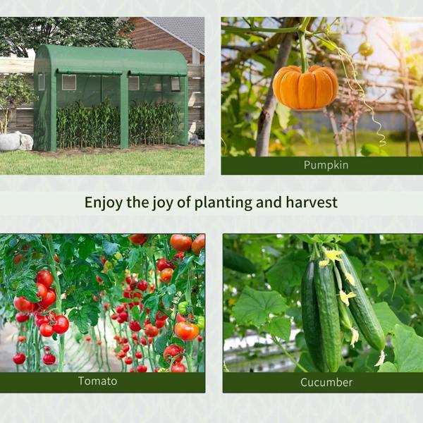 Green walk-in greenhouse with PE cover and steel frame with nearby garden harvest