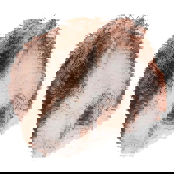 Nordvek Womens Sheepskin Classic Zhivago Hat