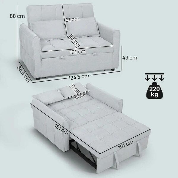 2 Seater Sofa Bed, 3-in-1 Convertible Sleeper Sofa with Click-clack Adjustable Backrest and 2 Pillows, Light Grey