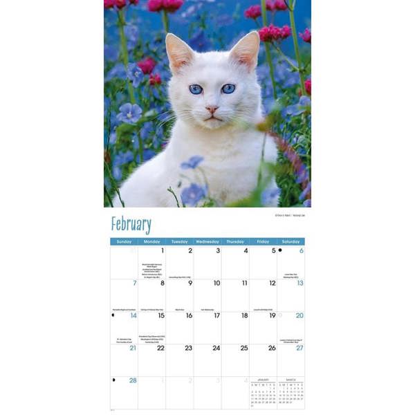 Cats Calendar 2027, Wall Calendars, Month To View, Cats, Gift