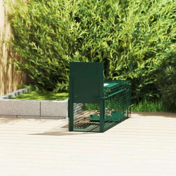 Dark green wire rat trap with open door on patio, outdoor placement