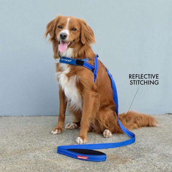 EzyDog Classic Dog Lead in Grey