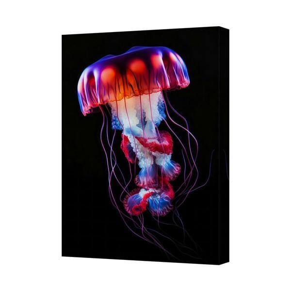 Benjamin Tate Design Enchanting Neon Jellyfish On Black Canvas Wall Art Print