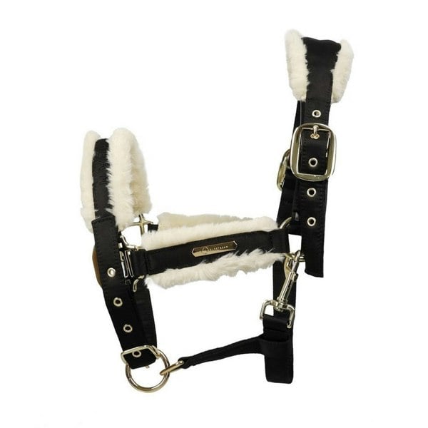 Coldstream Langlee Luxury Horse Headcollar and Leadrope - Black