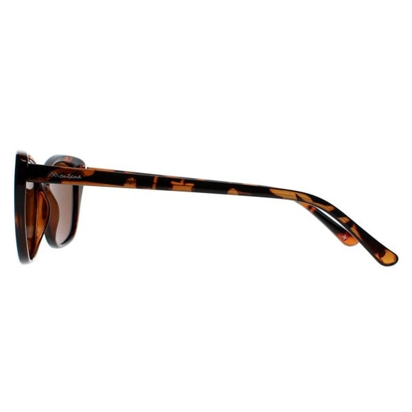 Montana Sunglasses MP42 B Tortoise Brown Polarized