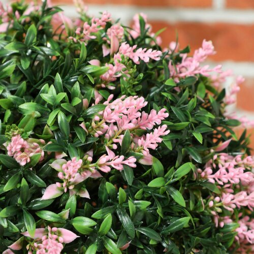 Wyld Haus Rari Set Of 2 UV Resistant Artificial Topiary Ball Plants In Pink