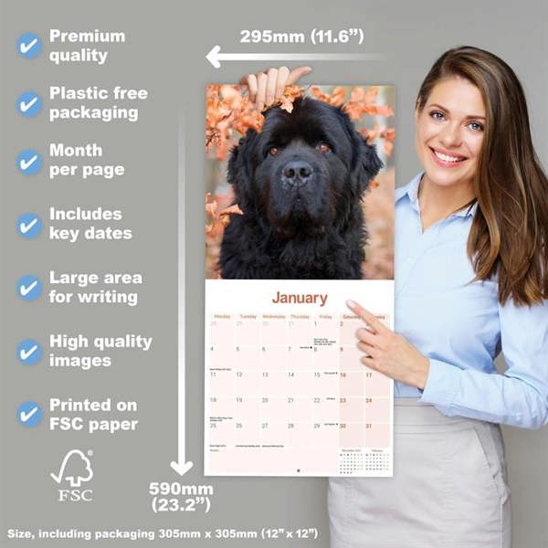 Newfoundland Calendar 2027, Wall Calendars, Month To View, Dogs, Gift