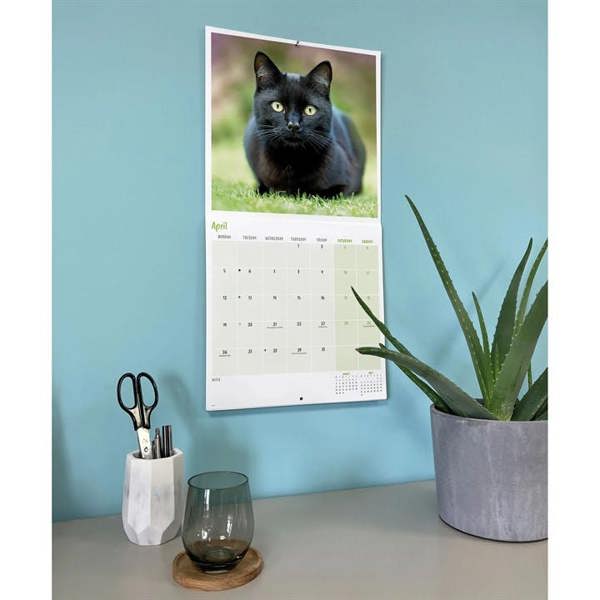 Black Cats Calendar 2027, Wall Calendars, Month To View, Cats, Gift